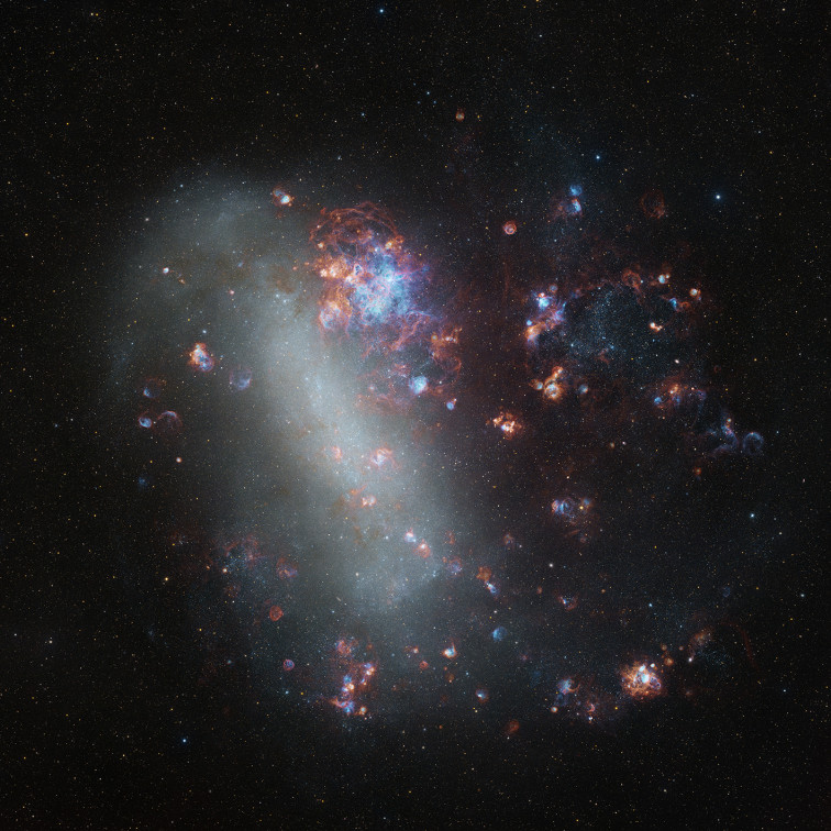 Wildflowers Across a Neighbouring Galaxy: The Large Magellanic Cloud — Shaoyu Zhang, Astronomy Photographer of the Year 2026