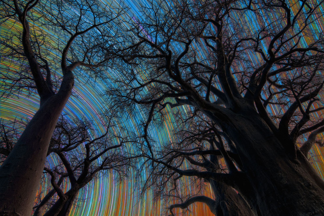 Botswana Star Trail — Stefano Pellegrini, Astronomy Photographer of the Year 2026