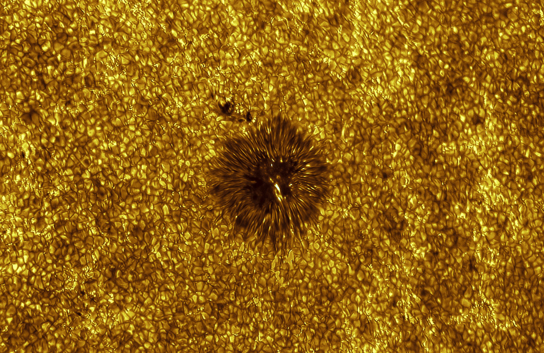 Active Region 4122 — Miguel Claro, Astronomy Photographer of the Year 2026