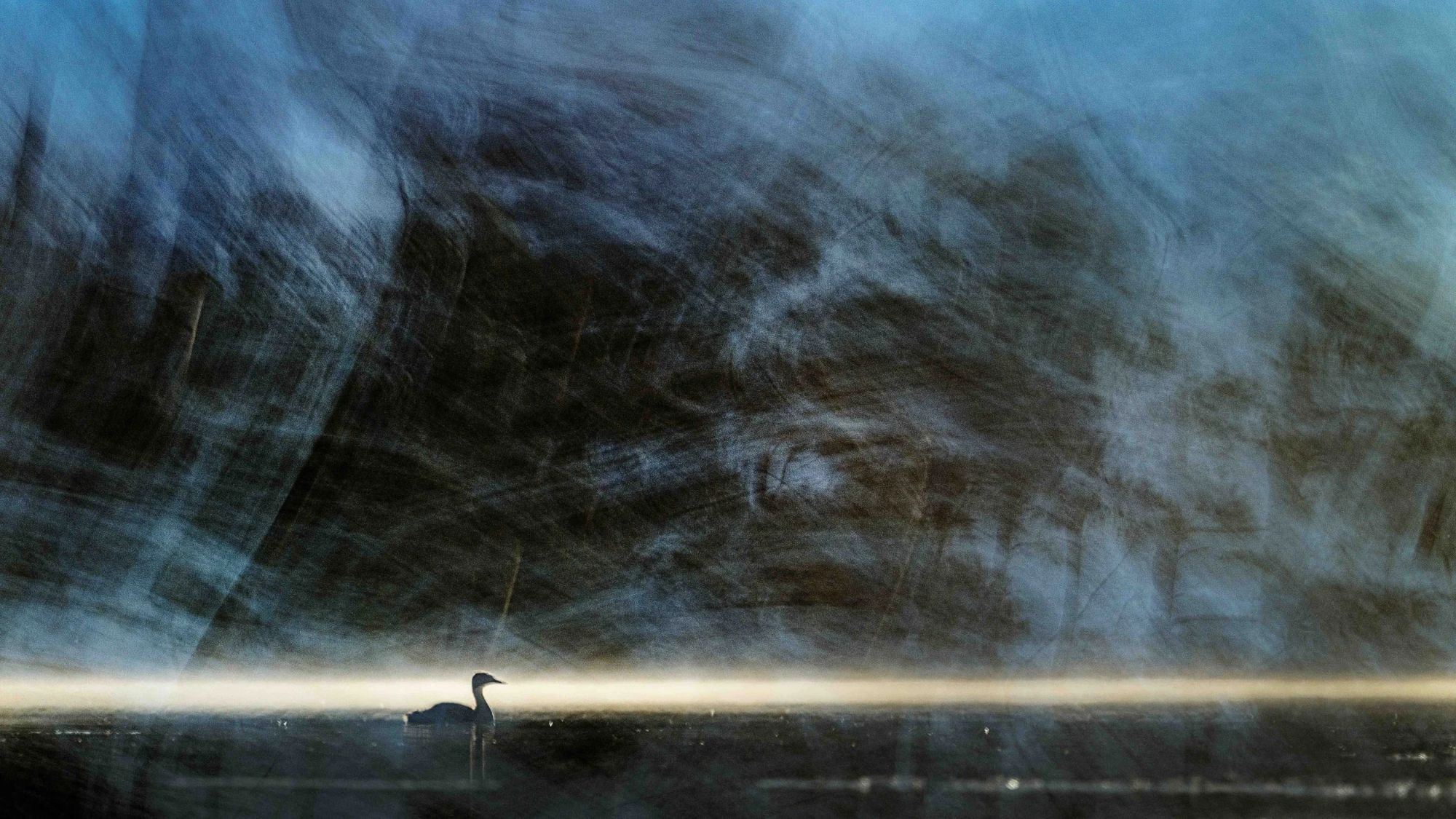 Grebe Impression — Julian Łoziński, Bird Photographer of the Year 2026