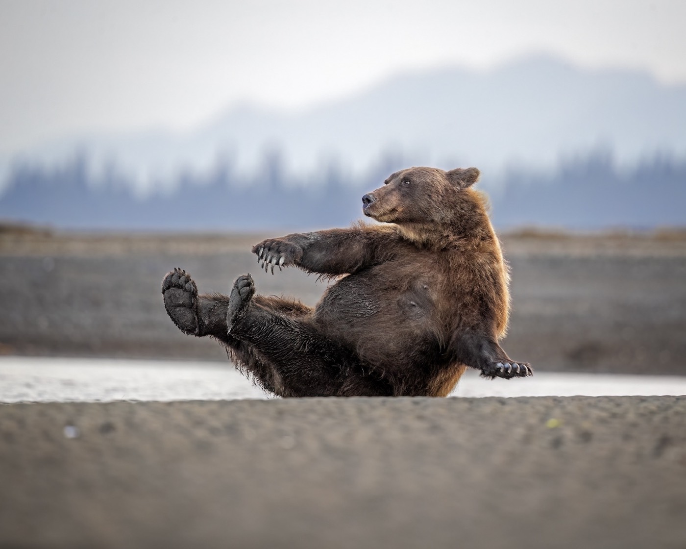 „Morning Calisthenics” — Scott Suriano