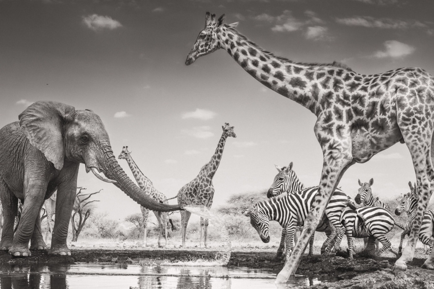 Wildlife Photographer of the Year 2026